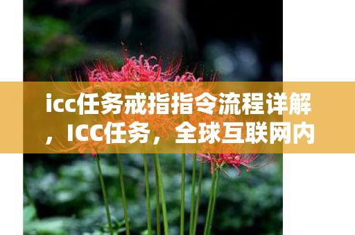 icc任务戒指指令流程详解，ICC任务，全球互联网内容治理的新挑战与应对策略