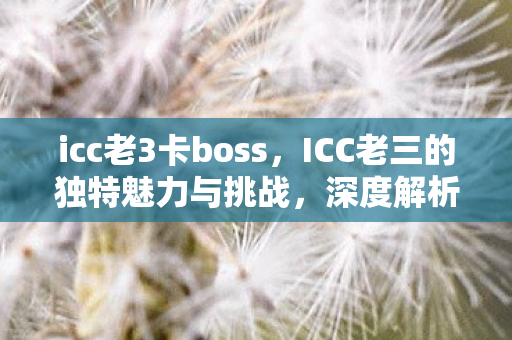 icc老3卡boss，ICC老三的独特魅力与挑战，深度解析其背后的故事与成长历程