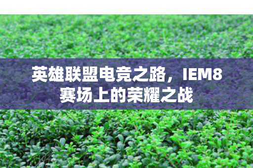 英雄联盟电竞之路，IEM8赛场上的荣耀之战
