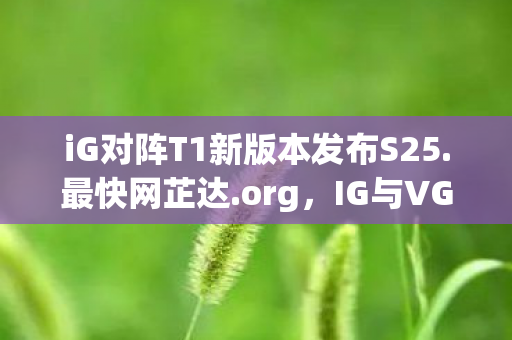 iG对阵T1新版本发布S25.最快网芷达.org，IG与VG的巅峰对决，一场电竞盛宴的剖析