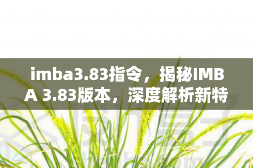 imba3.83指令，揭秘IMBA 3.83版本，深度解析新特性与改动