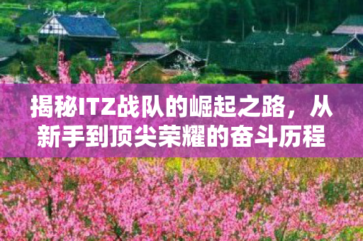 揭秘ITZ战队的崛起之路，从新手到顶尖荣耀的奋斗历程