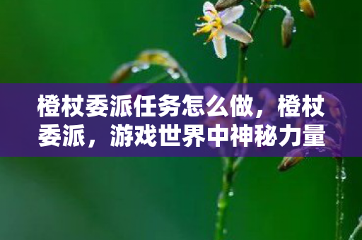 橙杖委派任务怎么做，橙杖委派，游戏世界中神秘力量的传承与探索