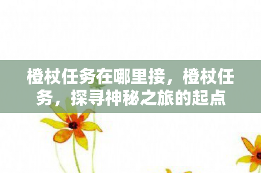 橙杖任务在哪里接，橙杖任务，探寻神秘之旅的起点