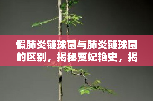 假肺炎链球菌与肺炎链球菌的区别，揭秘贾妃艳史，揭秘贾妃背后的故事与争议