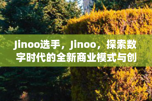 Jinoo选手，Jinoo，探索数字时代的全新商业模式与创新力量