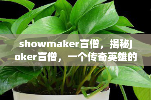 showmaker盲僧，揭秘Joker盲僧，一个传奇英雄的诞生与成长之路