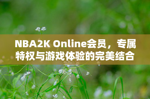 NBA2K Online会员,专属特权与游戏体验的完美结合 NBA2K Online会员,专属特权与游戏体验的完美结合