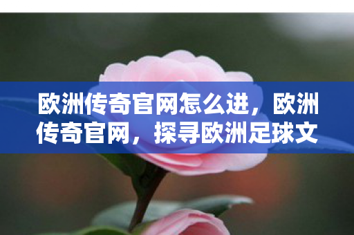 欧洲传奇官网怎么进，欧洲传奇官网，探寻欧洲足球文化的魅力之源