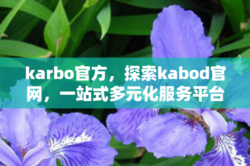karbo官方，探索kabod官网，一站式多元化服务平台