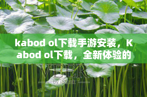 kabod ol下载手游安装，Kabod ol下载，全新体验的游戏世界等你来探索