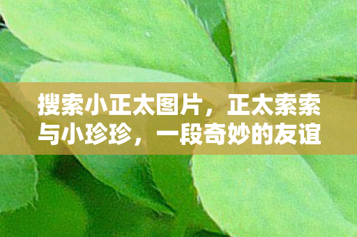 搜索小正太图片，正太索索与小珍珍，一段奇妙的友谊之旅