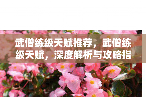 武僧练级天赋推荐，武僧练级天赋，深度解析与攻略指南