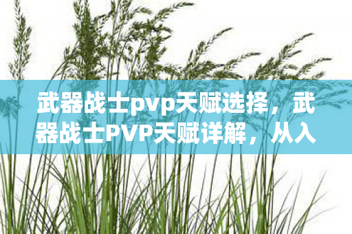 武器战士pvp天赋选择，武器战士PVP天赋详解，从入门到精通