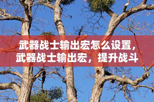 武器战士输出宏怎么设置，武器战士输出宏，提升战斗效率的关键工具