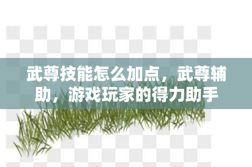 武尊技能怎么加点，武尊辅助，游戏玩家的得力助手