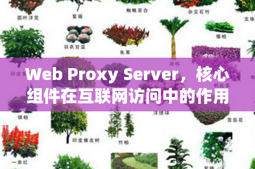 Web Proxy Server，核心组件在互联网访问中的作用