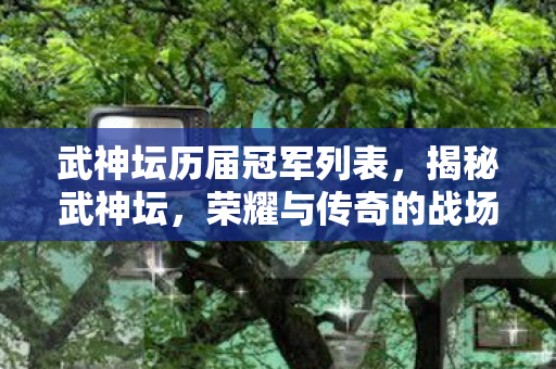 武神坛历届冠军列表，揭秘武神坛，荣耀与传奇的战场
