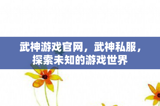 武神游戏官网，武神私服，探索未知的游戏世界