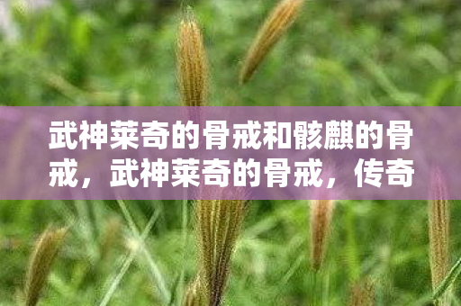武神莱奇的骨戒和骸麒的骨戒，武神莱奇的骨戒，传奇故事的巅峰之作