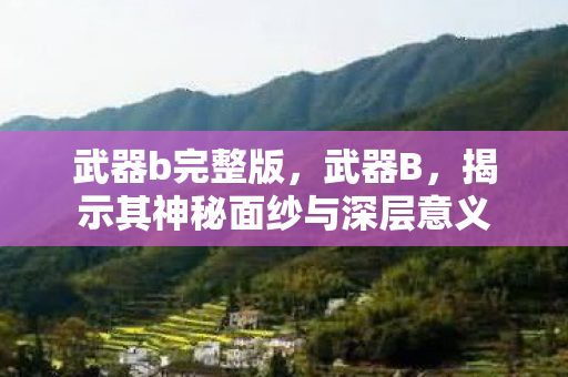 武器b完整版，武器B，揭示其神秘面纱与深层意义