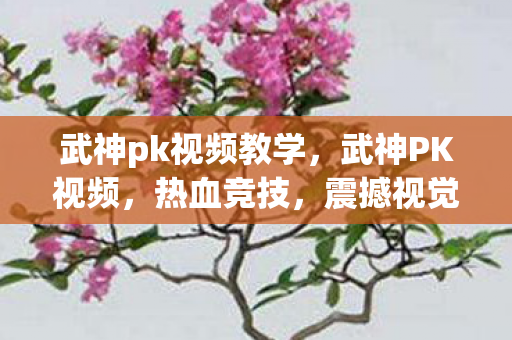武神pk视频教学，武神PK视频，热血竞技，震撼视觉盛宴
