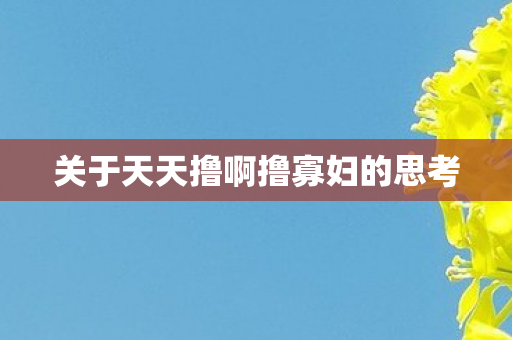 关于天天撸啊撸寡妇的思考