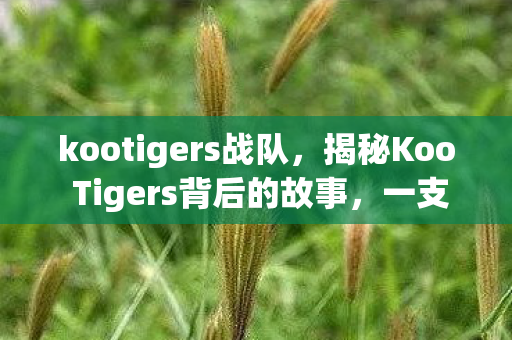 kootigers战队，揭秘Koo Tigers背后的故事，一支充满潜力的电竞劲旅