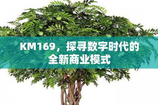 KM169，探寻数字时代的全新商业模式
