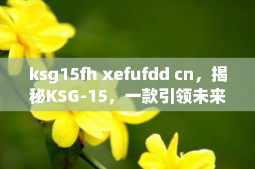 ksg15fh xefufdd cn，揭秘KSG-15，一款引领未来的高效储能技术革新