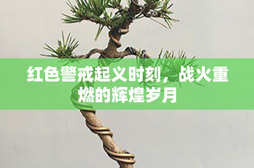 红色警戒起义时刻，战火重燃的辉煌岁月