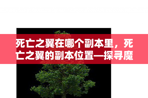 死亡之翼在哪个副本里，死亡之翼的副本位置—探寻魔兽世界中的传奇之翼