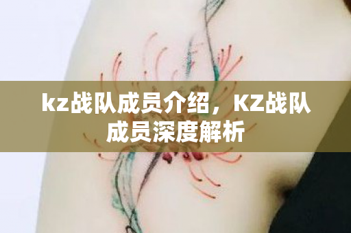 kz战队成员介绍，KZ战队成员深度解析