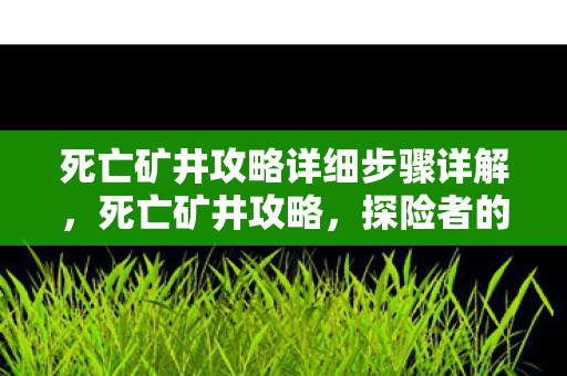 死亡矿井攻略详细步骤详解，死亡矿井攻略，探险者的生存指南
