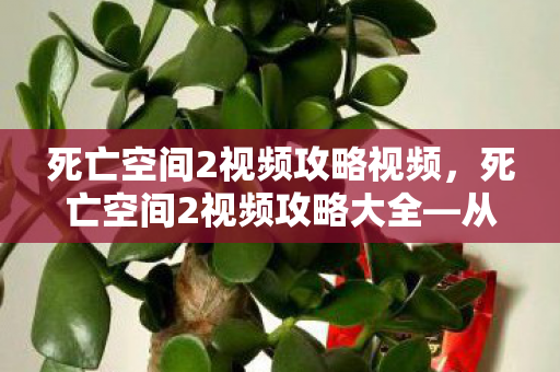 死亡空间2视频攻略视频，死亡空间2视频攻略大全—从入门到精通