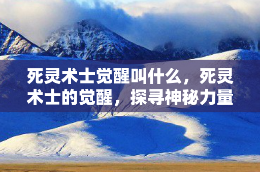 死灵术士觉醒叫什么，死灵术士的觉醒，探寻神秘力量的终极之旅
