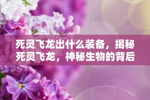 死灵飞龙出什么装备，揭秘死灵飞龙，神秘生物的背后传说与真相探寻