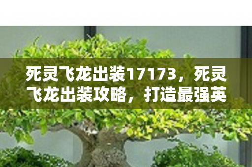 死灵飞龙出装17173，死灵飞龙出装攻略，打造最强英雄装备组合