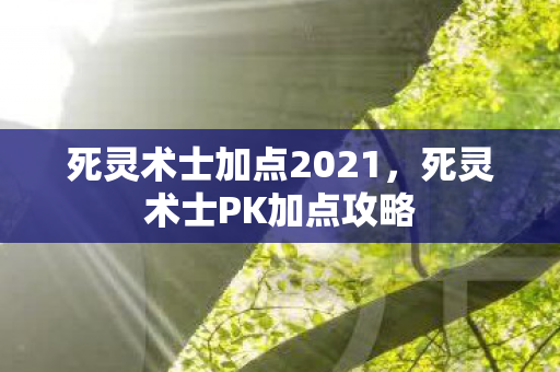死灵术士加点2021，死灵术士PK加点攻略