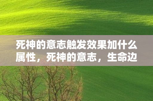 死神的意志触发效果加什么属性，死神的意志，生命边缘的探寻与感悟