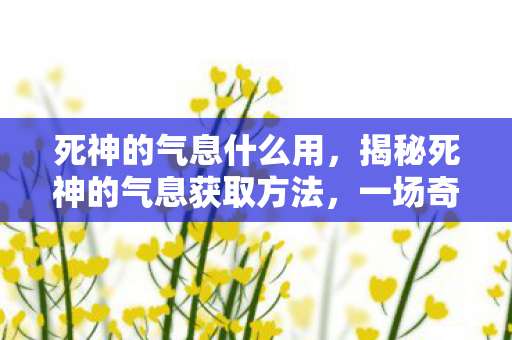 死神的气息什么用，揭秘死神的气息获取方法，一场奇幻冒险之旅