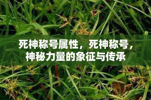 死神称号属性，死神称号，神秘力量的象征与传承