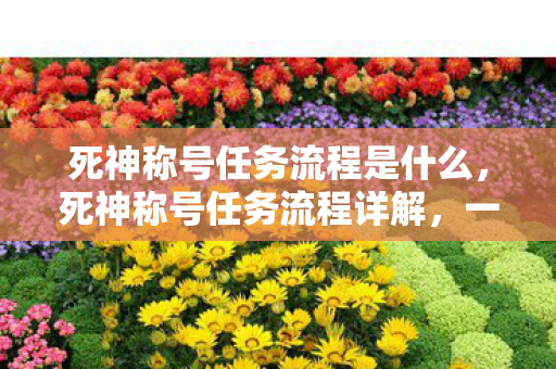 死神称号任务流程是什么，死神称号任务流程详解，一步步成为荣耀的死神
