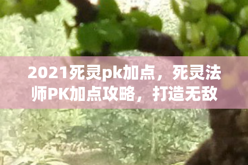 2021死灵pk加点，死灵法师PK加点攻略，打造无敌战力