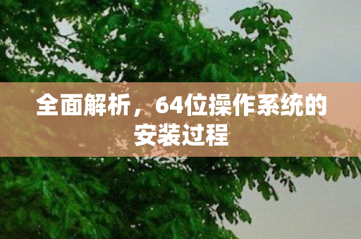 全面解析,64位操作系统的安装过程 全面解析,64位操作系统的安装过程