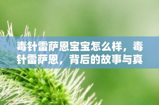 毒针雷萨恩宝宝怎么样，毒针雷萨恩，背后的故事与真相揭秘
