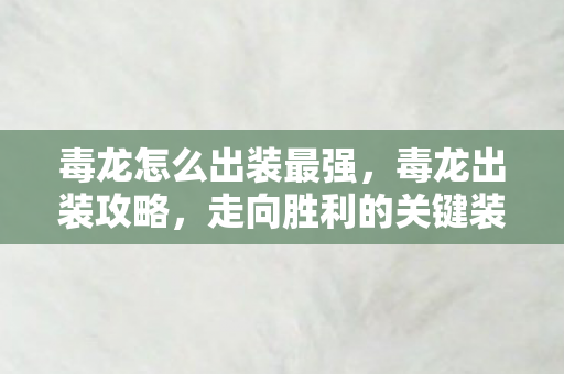 毒龙怎么出装最强，毒龙出装攻略，走向胜利的关键装备搭配