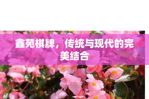 鑫苑棋牌，传统与现代的完美结合