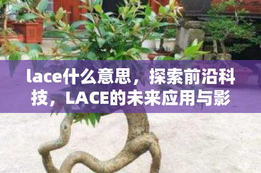 lace什么意思，探索前沿科技，LACE的未来应用与影响
