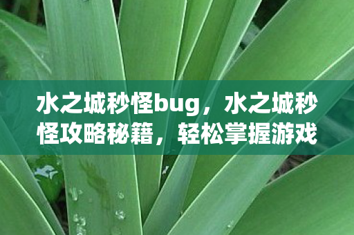 水之城秒怪bug，水之城秒怪攻略秘籍，轻松掌握游戏技巧，成为顶尖玩家！